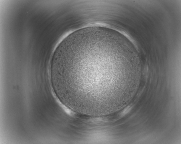 X0000067331054200604030928
