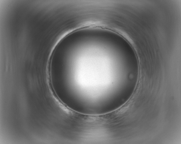 X0000067331056200604030928