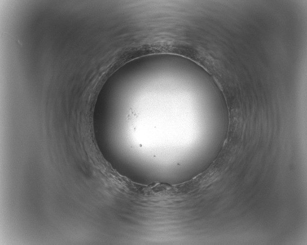 X0000067331057200604030927