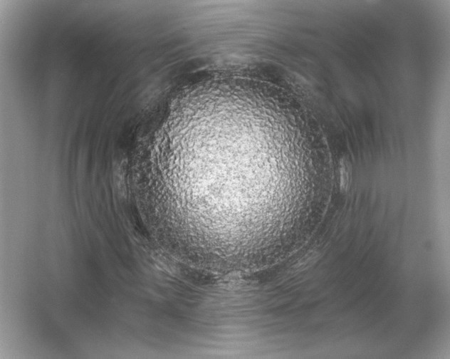 X0000067331059200604030927