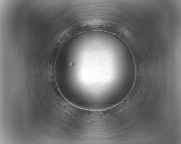 X0000067331062200604030927