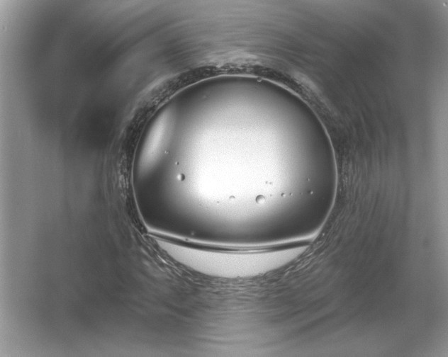 X0000067331063200604030927