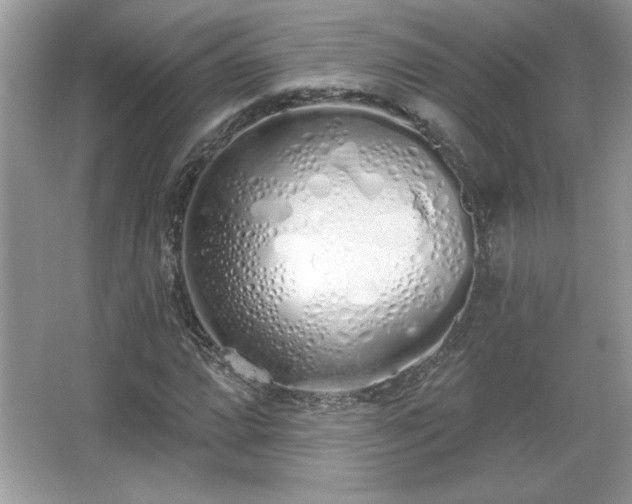 X0000067331064200604030927