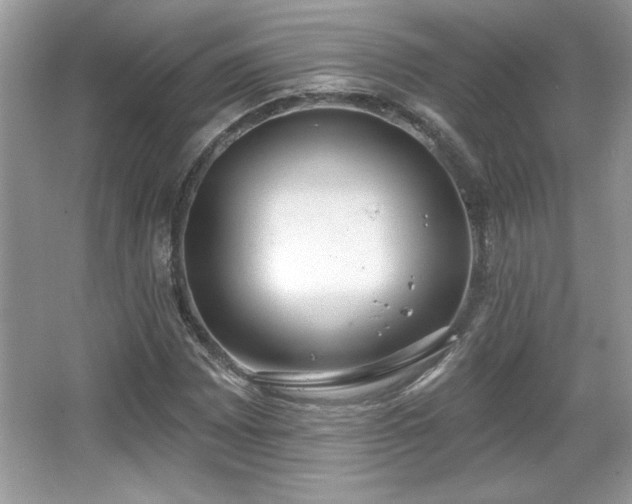 X0000067331065200604030927