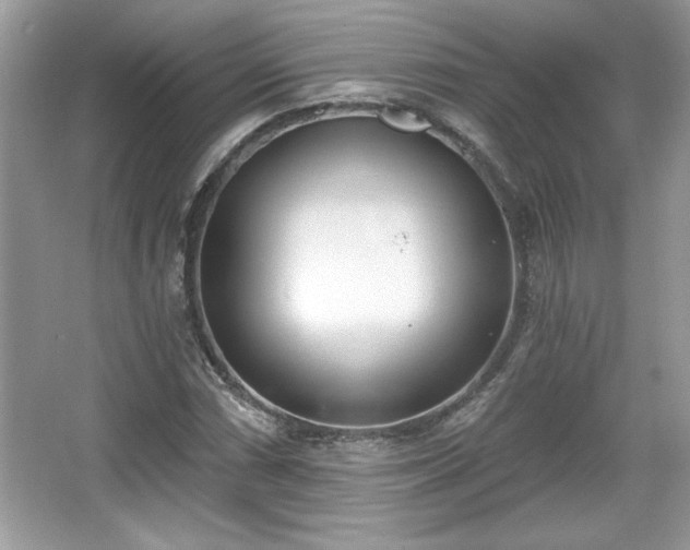 X0000067331066200604030927