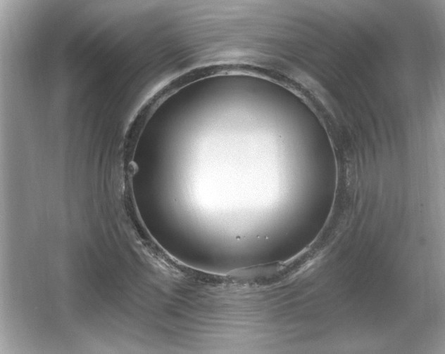 X0000067331069200604030927