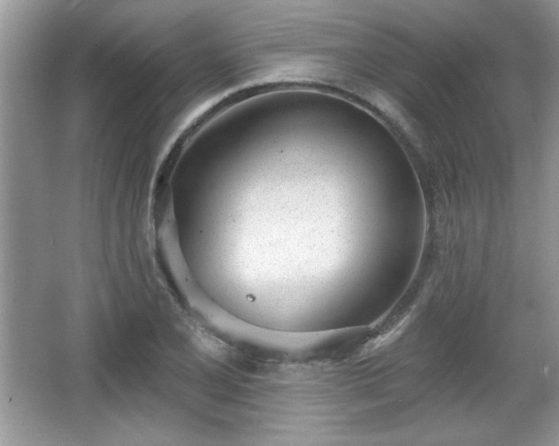 X0000067331077200604030927