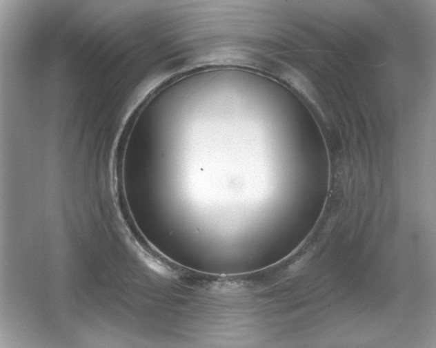 X0000067331082200604030927
