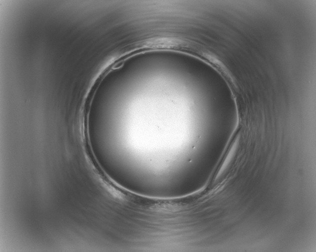 X0000067331083200604030927