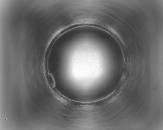 X0000067331085200604030927