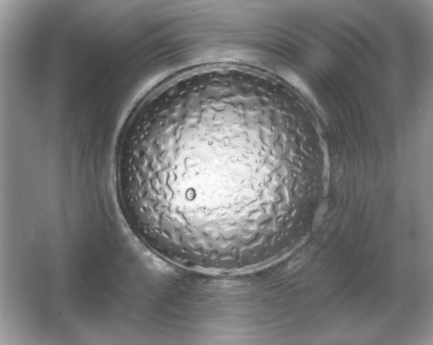 X0000067331088200604030927