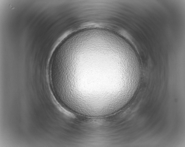 X0000067331090200604030927