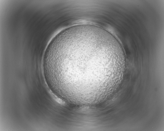 X0000067331098200604030927