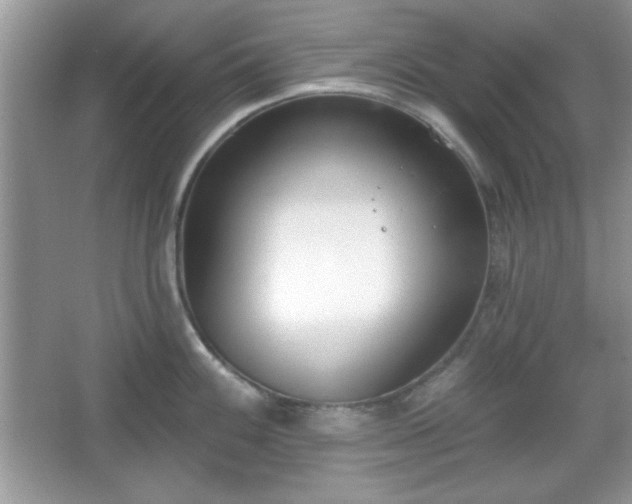 X0000067331100200604030927