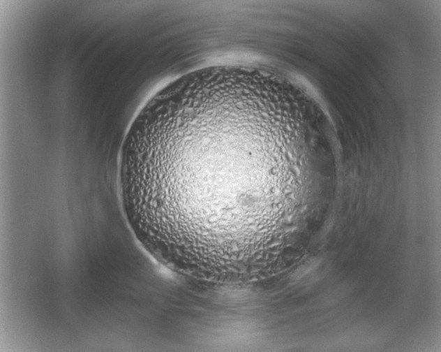 X0000067331103200604030927
