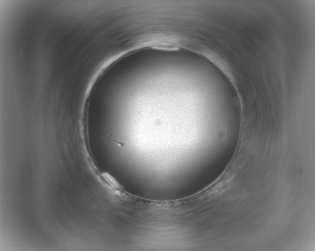 X0000067331104200604030927
