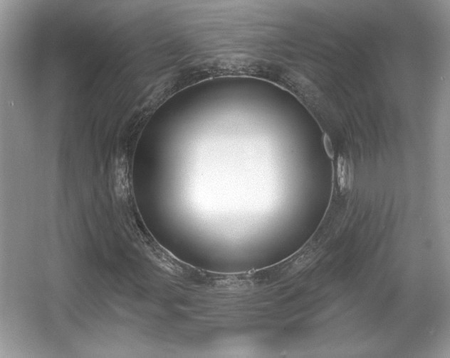 X0000067331107200604030926