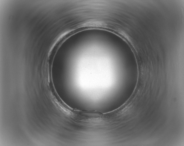 X0000067331123200604030926
