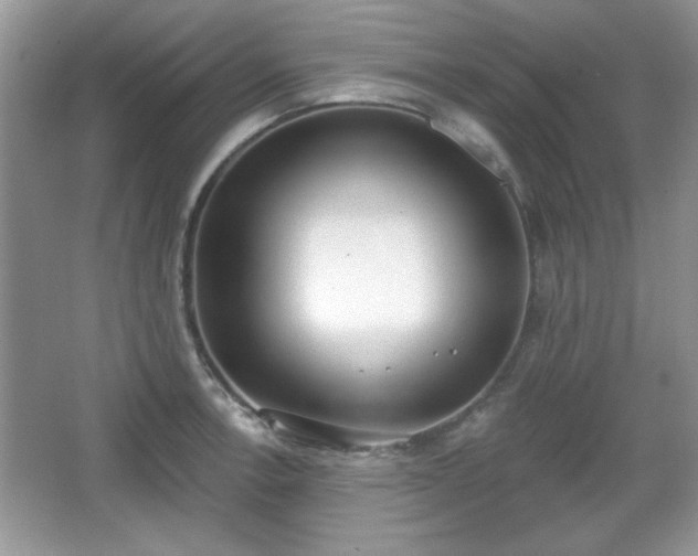 X0000067331138200604030926