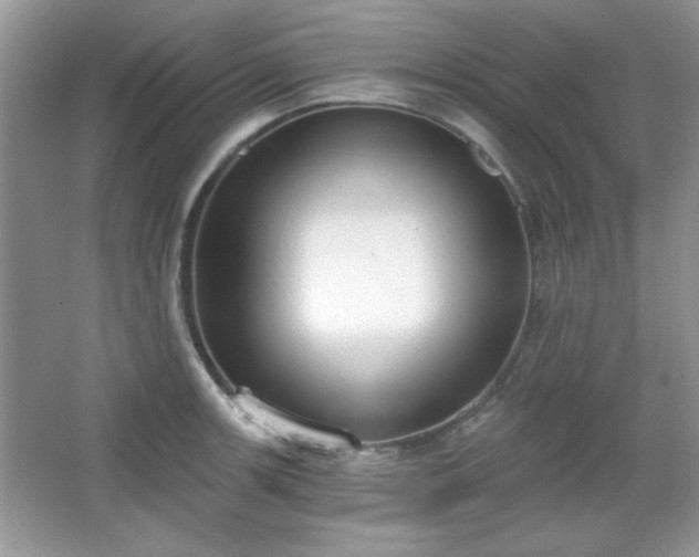 X0000067331139200604030926