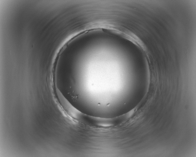 X0000067331144200604030926