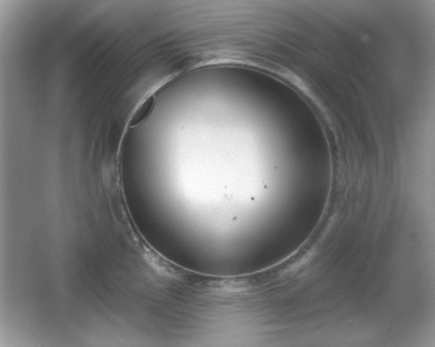 X0000067331145200604030926