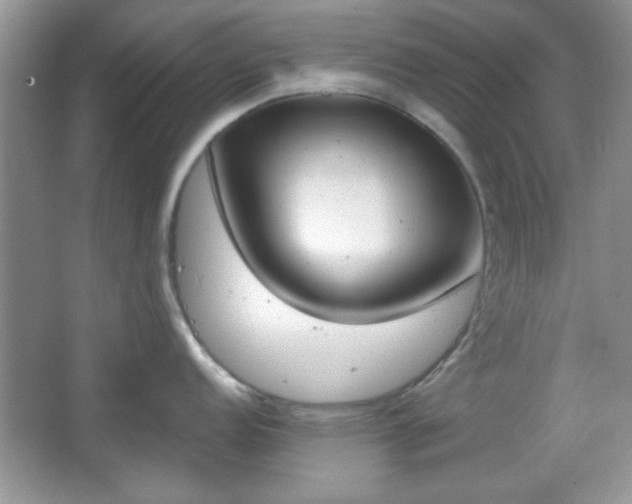 X0000067331152200604030927
