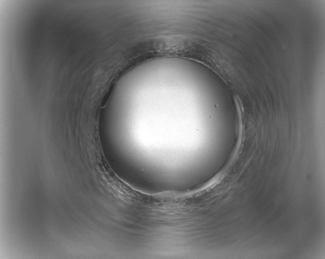 X0000067331153200604030926