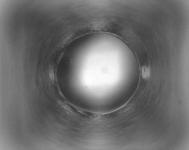 X0000067331155200604030926