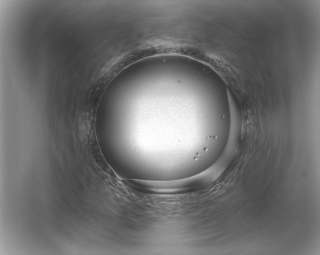 X0000067331157200604030926