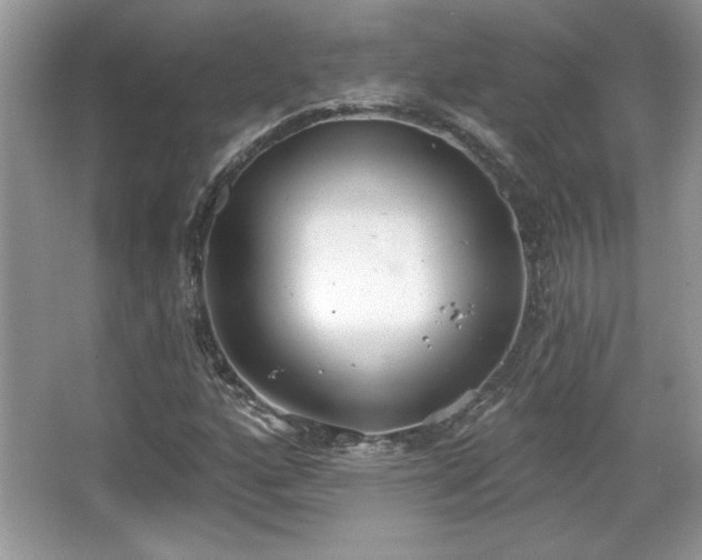 X0000067331160200604030926
