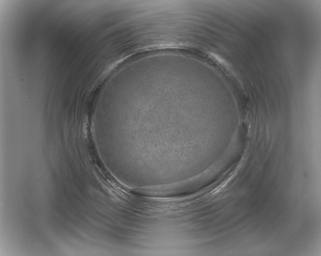 X0000067331161200604030926