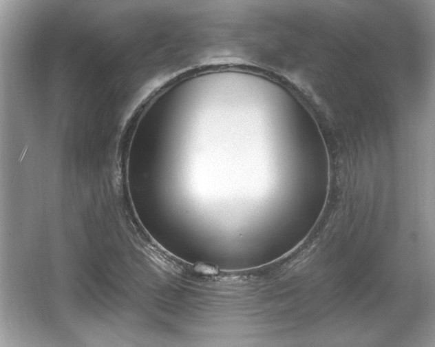 X0000067331167200604030926