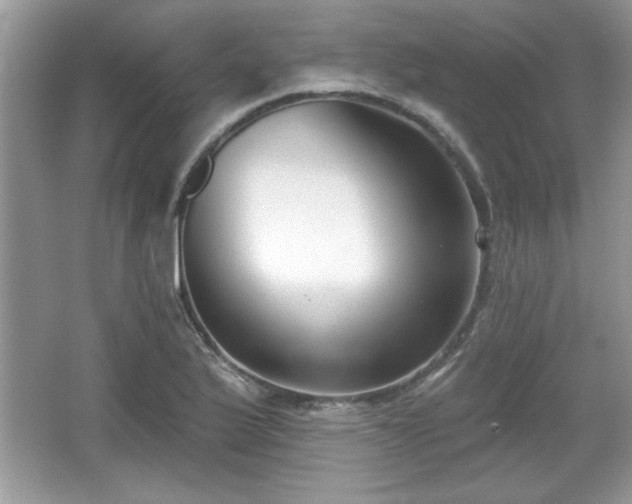 X0000067331175200604030925