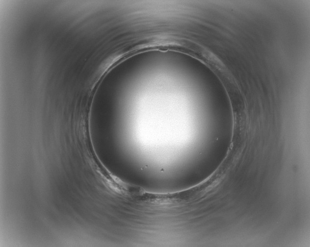X0000067331177200604030925