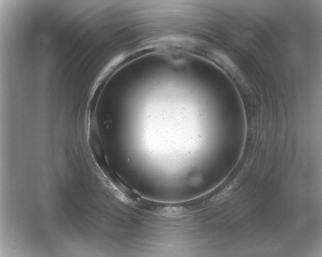 X0000067331180200604030925