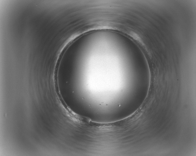 X0000067331181200604030925