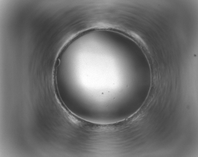 X0000067331183200604030925
