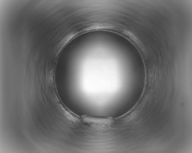 X0000067331185200604030925