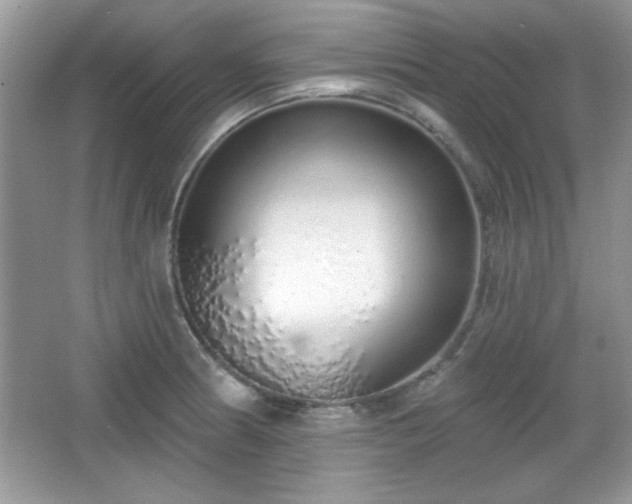 X0000067331186200604030925