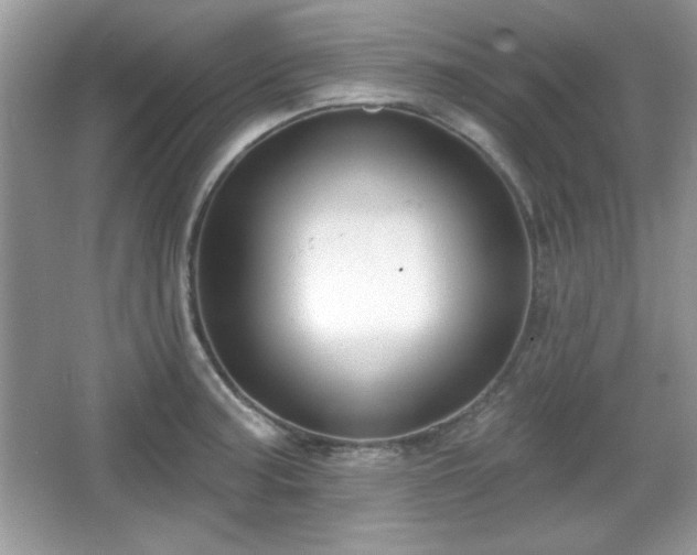 X0000067331187200604030925