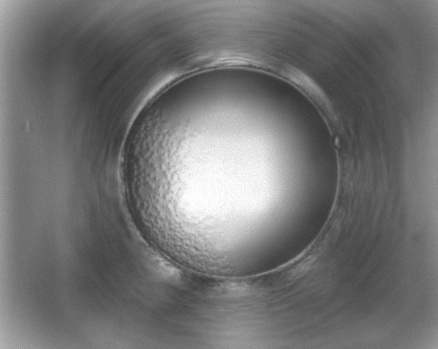 X0000067331190200604030925