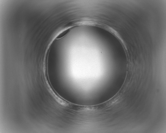 X0000067331195200604030925