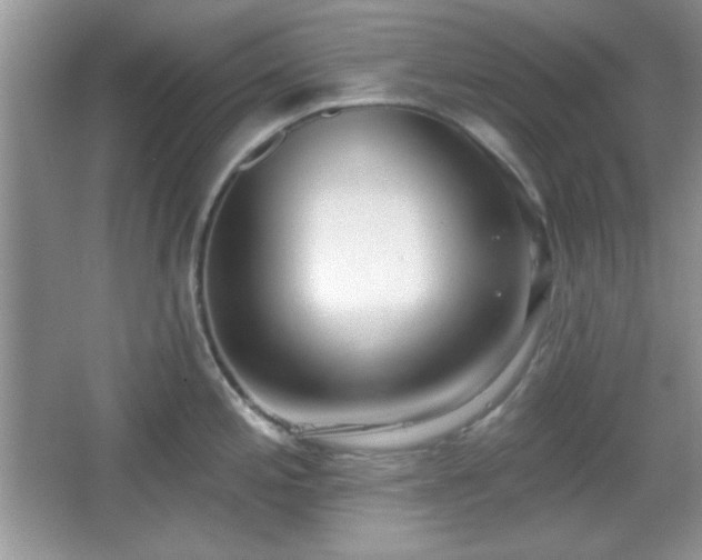 X0000067331197200604030925