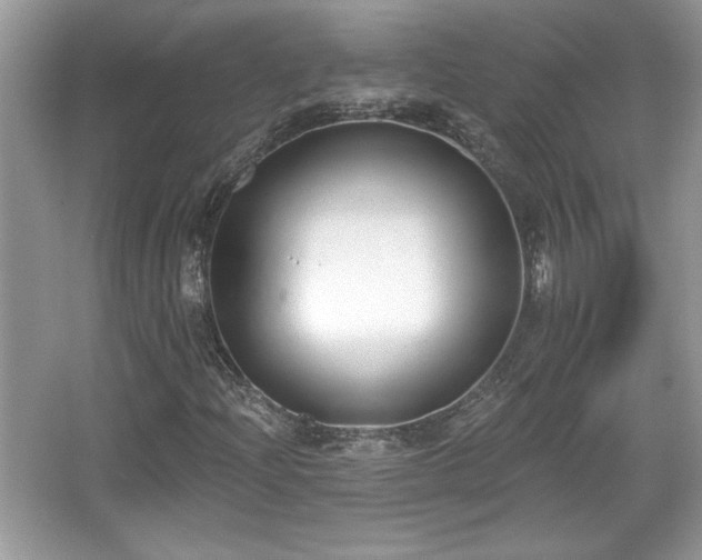 X0000067331204200604030924