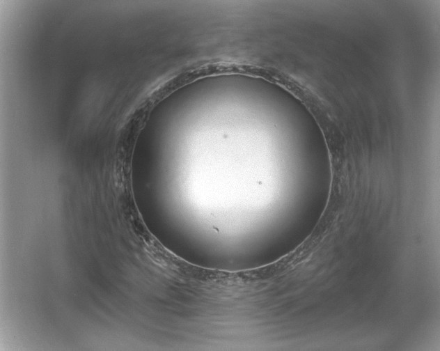 X0000067331207200604030924