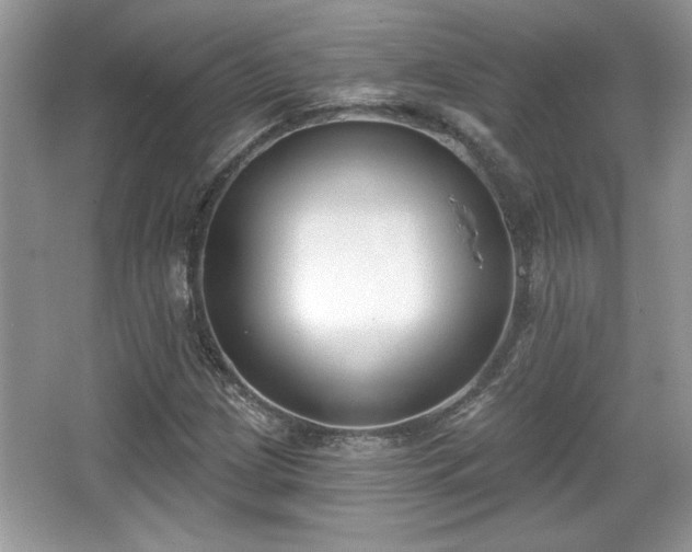 X0000067331209200604030924