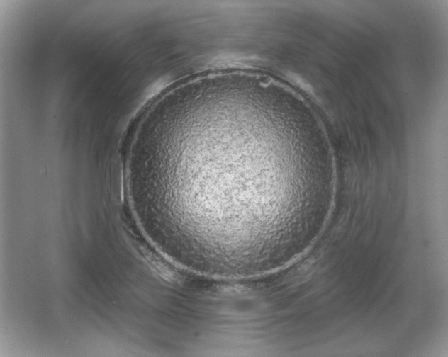 X0000067331219200604030924
