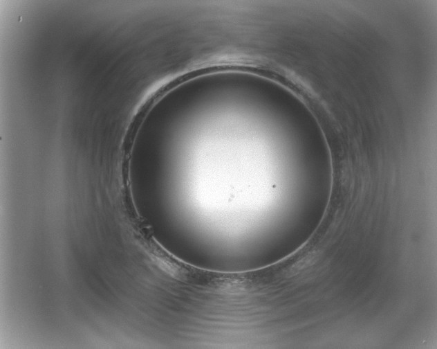 X0000067331222200604030925