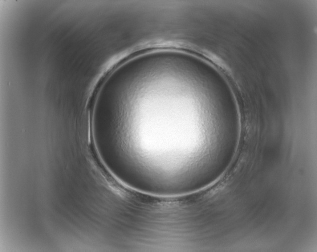 X0000067331223200604030925